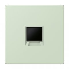 Virsma (ar fiksatoru) modulārai datu rozetei 1-vietīga, UMA-CAT6A, termoplasts lakots, Serie LS, vert anglâis pale