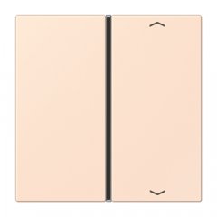 Taustiņs slēdzim 1-viet, ar virzienrādītāju, F40, Serie LS, orange pâle