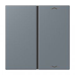 Taustiņs slēdzim 1-viet, ar virzienrādītāju, F40, Serie LS, gris 59