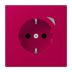 Kontaktligzda JUNG HOME SCHUKO, 16 A 250 V ~, skrūvju spailes, ar indikātoru un bērnu drošību, termoplasts krāsots