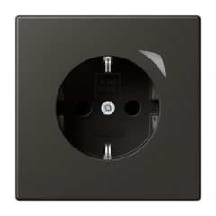 Kontaktligzda JUNG HOME SCHUKO, 16 A 250 V ~, skrūvju spailes, ar indikātoru un bērnu drošību, termoplasts krāsots