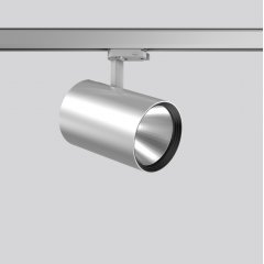 DEECOS S maxi, 43 W, 5750 lm, 940, silver, DALI Surface mounted projectors, D 123 H 200, 17°