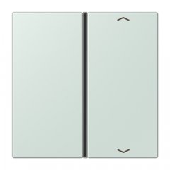 Taustiņs slēdzim 1-viet, ar virzienrādītāju, F40, Serie LS, céruléen pale