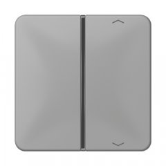 Taustiņs slēdzim 1-viet, ar virzienrādītāju, F40, Serie CD, grau