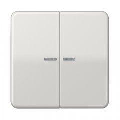 Taustiņs 2-viet ar indikācijas logu, termoplasts, Serie CD, gaiši pelēks