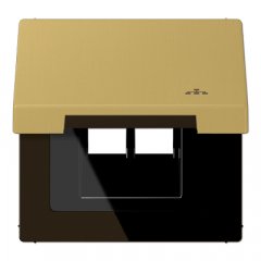 Rozetes vāks ar atsperi, ar simbolu LAN, vertikālā un horizontālā montāža, Serie LS, misiņš