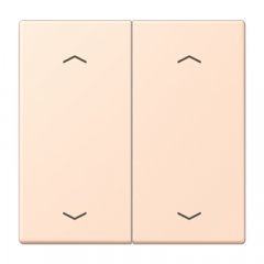 Taustiņs KNX slēdzim, ar virzienrādītāju 2-viet, Serie LS, rose pâle