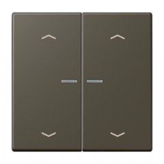 JUNG HOME taustiņš 2-viet, ar bultiņu simboliem<br />
, Serie LS, ombre naturelle 31