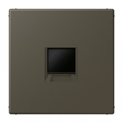 Virsma (ar fiksatoru) modulārai datu rozetei 1-vietīga, UMA-CAT6A, termoplasts lakots, Serie LS, ombre naturelle 31