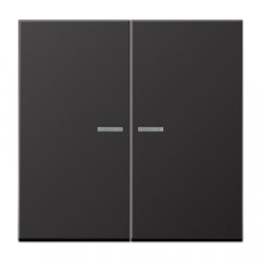 JUNG HOME taustiņš 2-viet, krāsots alumīnijs, Serie LS, tumša (lackiertes Aluminium)