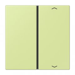 Taustiņs slēdzim 1-viet, ar virzienrādītāju, F40, Serie LS, vert jaune clair