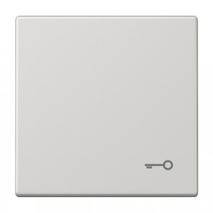 Taustiņš, ar simbolu, duroplasts, Serie LS, gaiši pelēks