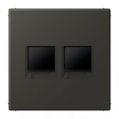 Virsma (ar fiksatoru) modulārai datu rozetei 2-vietīga, UMA-CAT6A, termoplasts lakots, Serie LS, ombre naturelle 59