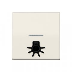 Taustiņs 1-viet, ar indikācijas logu un spuldzes simbolu, duroplasts, Serie AS, ziloņkaula