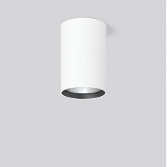 HELEDON maxi, 35 W, 4400 lm, 940, white, DALI Surface mounted downlights, D 123 H 183, 65°