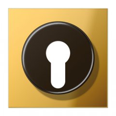 Virsma slēdzim ar atslēgu, Metall  PVD-pārklājums, Serie LS, zelta krāsā