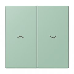 Taustiņs 2-viet žalūziju slēdzim, ar virzienrādītāju, Serie LS, vert anglais clair