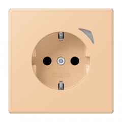 Kontaktligzda JUNG HOME SCHUKO, 16 A 250 V ~, skrūvju spailes, ar indikātoru un bērnu drošību, termoplasts krāsots