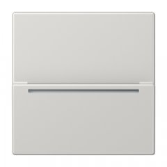 RFID kartes turētājs (bez mehānisma), Serie LS, gaiši pelēks