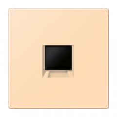 Virsma (ar fiksatoru) modulārai datu rozetei 1-vietīga, UMA-CAT6A, termoplasts lakots, Serie LS, ocre