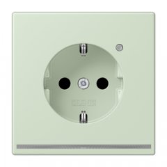 Kontaktligzda SCHUKO, 16 A 250 V ~, ar LED apgaismojumu, ar bērnu drošību, Serie LS, vert anglâis pale