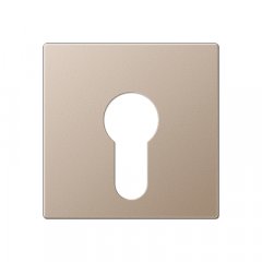 Virsma slēdzim ar atslēgu, termoplasts lakots, Serie A, šampanieša krāsā