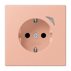 Kontaktligzda JUNG HOME SCHUKO, 16 A 250 V ~, skrūvju spailes, ar indikātoru un bērnu drošību, termoplasts krāsots