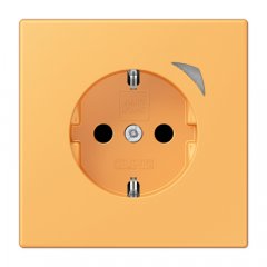 Kontaktligzda JUNG HOME SCHUKO, 16 A 250 V ~, skrūvju spailes, ar indikātoru un bērnu drošību, termoplasts krāsots