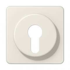 Virsma slēdzim ar atslēgu, termoplasts, Serie CD, ziloņkaula