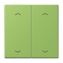 Taustiņs KNX slēdzim, ar virzienrādītāju 2-viet, Serie LS, vert 31