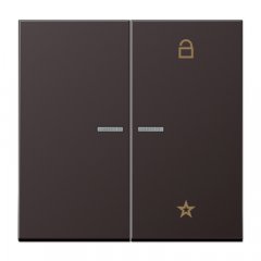 eNet taustiņš unversālais 2-viet, Aluminium lackiert, Serie LS, tumša (lackiertes Aluminium)