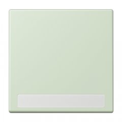 Taustiņs 1-viet, marķējams, Serie LS, vert anglâis pale