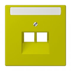 Virsma IAE/UAE-datu rozetei 2 x 8-polig, marķējams, termoplasts lakots, Serie LS, vert olive vif