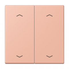 Taustiņs KNX slēdzim, ar virzienrādītāju 2-viet, Serie LS, rose clair