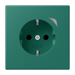 Kontaktligzda JUNG HOME SCHUKO, 16 A 250 V ~, skrūvju spailes, ar indikātoru un bērnu drošību, termoplasts krāsots