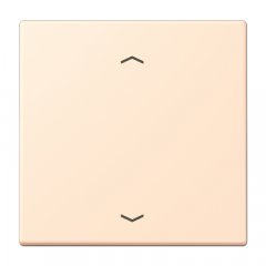 Taustiņs KNX slēdzim, ar virzienrādītāju 1-viet, Serie LS, terre sienne pâle