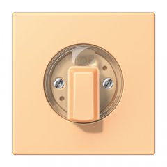 Virsma ar grozāmu slēdzi, Serie LS, terre sienne claire 59