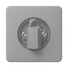 Virsma ar grozāmu slēdzi, duroplasts, Serie CD, grau