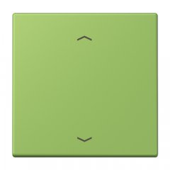 Taustiņs 1-viet, ar virzienrādītāju, Serie LS, vert 31