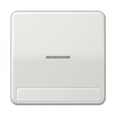 Taustiņs 1-viet, ar indikācijas logu, marķējams, duroplasts, Serie CD, gaiši pelēks