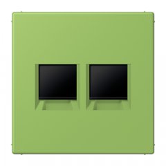 Virsma (ar fiksatoru) modulārai datu rozetei 2-vietīga, UMA-CAT6A, termoplasts lakots, Serie LS, vert 31