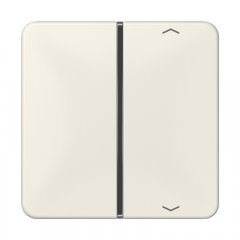 Taustiņs slēdzim 1-viet, ar virzienrādītāju, F40, Serie CD, ziloņkaula