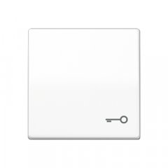 Taustiņš, ar simbolu, duroplasts antibakteriāls, Serie AS, balts