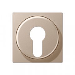 Virsma slēdzim ar atslēgu, termoplasts lakots, Serie A, šampanieša krāsā