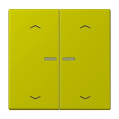 JUNG HOME taustiņš 2-viet, ar bultiņu simboliem<br />
, Serie LS, vert olive vif