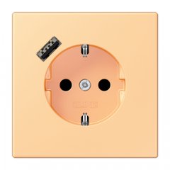 Kontaktligzda SCHUKO 16 A 250 V ~, USB pieslēgvieta 1 x Typ A, ar bērnu drošību, Serie LS, terre sienne claire 59