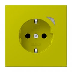 Kontaktligzda JUNG HOME SCHUKO, 16 A 250 V ~, Energy, skrūvju spailes, ar indikātoru un bērnu drošību, termoplasts