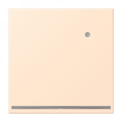 LED-dežūrgaisma ar integrētu spilgtuma sensoru, Thermoplast lackiert, Serie LS, terre sienne pâle