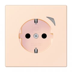 Kontaktligzda JUNG HOME SCHUKO, 16 A 250 V ~, skrūvju spailes, ar indikātoru un bērnu drošību, termoplasts krāsots