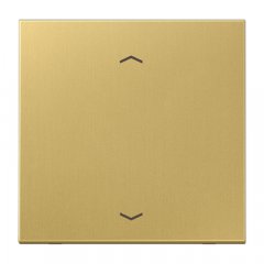 Taustiņs KNX slēdzim, ar virzienrādītāju 1-viet, misiņš Serie LS, misiņš